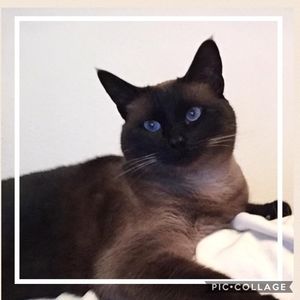 Meet your Posher, Hope